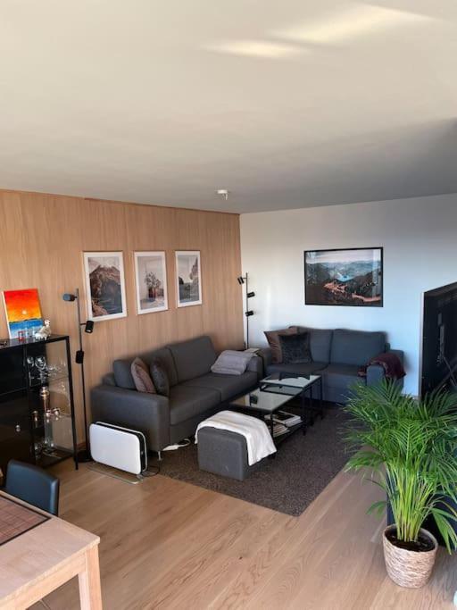 One Bedroom Leilighet *